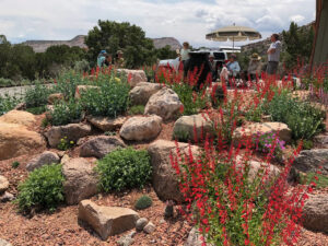 Photo by Maryann Benoit